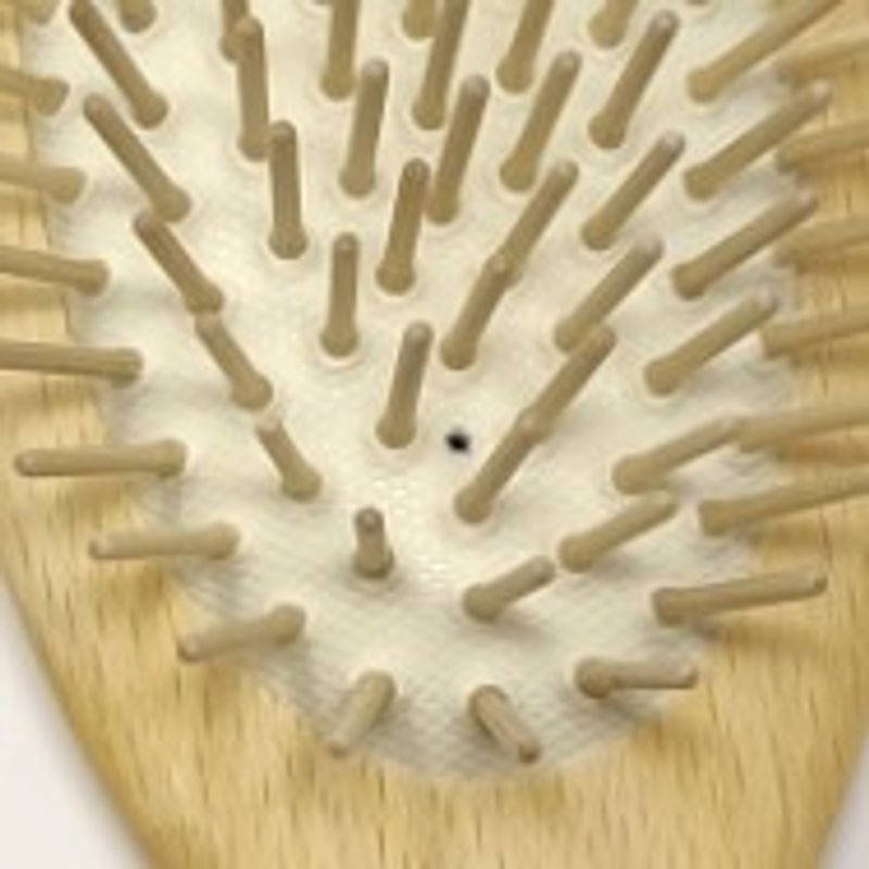 SV Hårbørste, kraftig hår